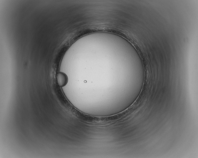 X0000113580739200909181019