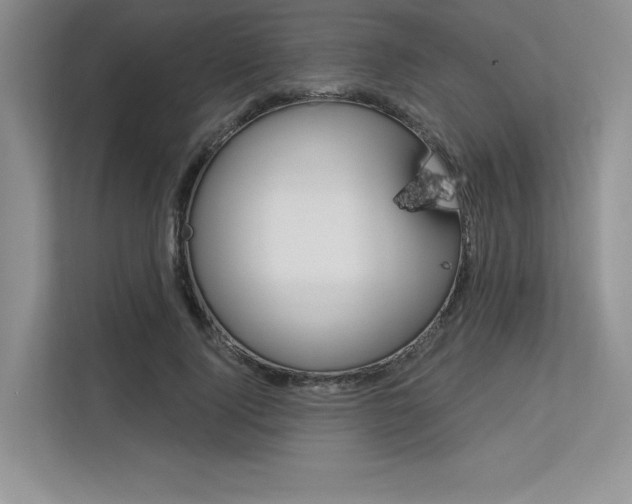 X0000113580740200909181019