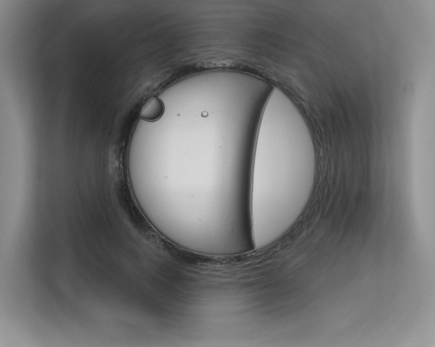 X0000113580743200909181019