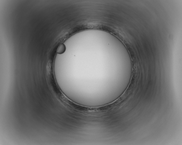 X0000113580744200909181019