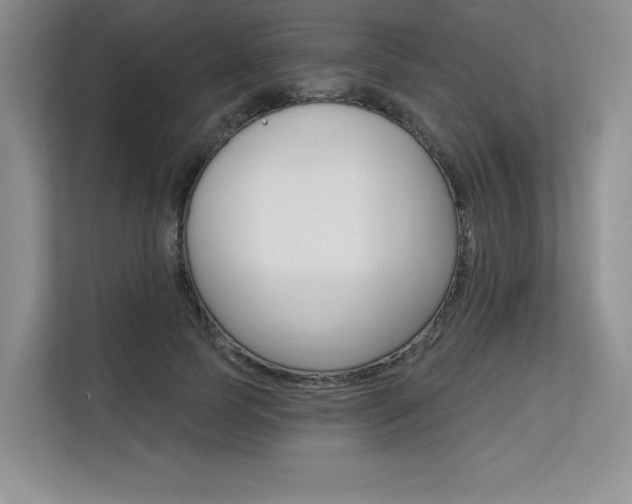X0000113580745200909181019