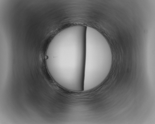 X0000113580747200909181019