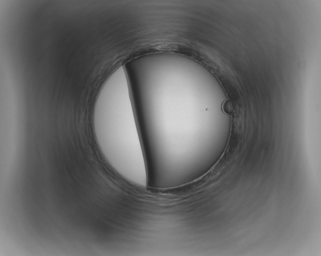 X0000113580748200909181019