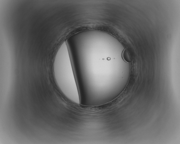 X0000113580750200909181019
