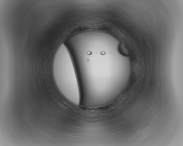 X0000113580752200909181019