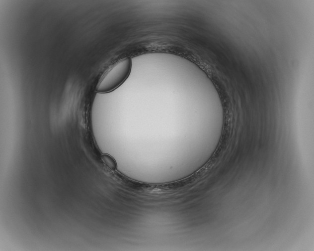 X0000113580755200909181019
