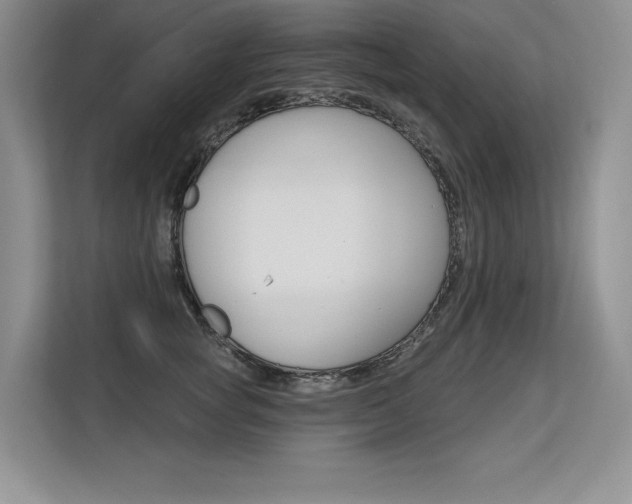 X0000113580757200909181019