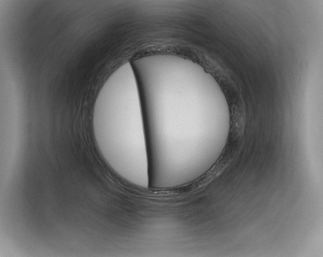 X0000113580758200909181019