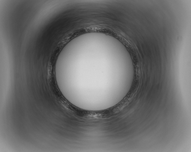 X0000113580760200909181019