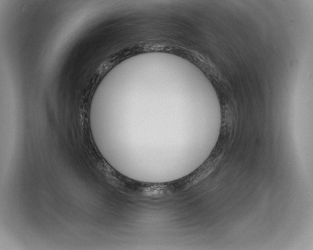 X0000113580761200909181019