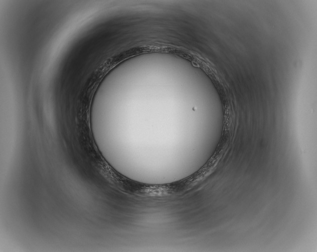 X0000113580762200909181019