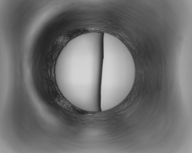 X0000113580763200909181019