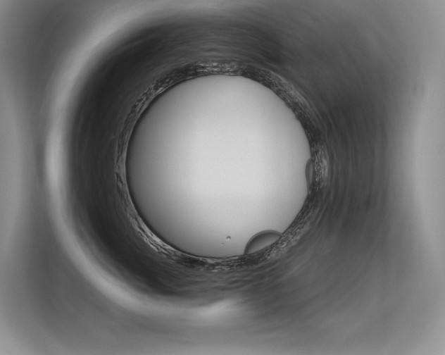 X0000113580764200909181019