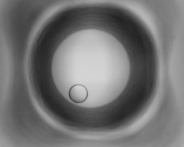 X0000113580766200909181019