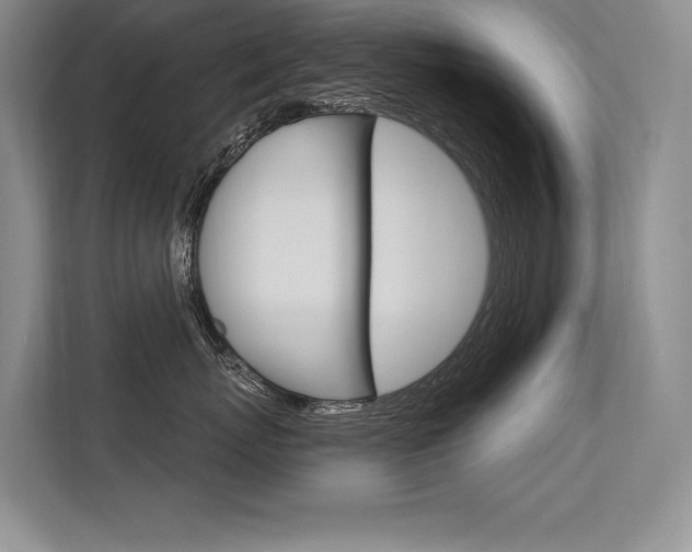 X0000113580767200909181019