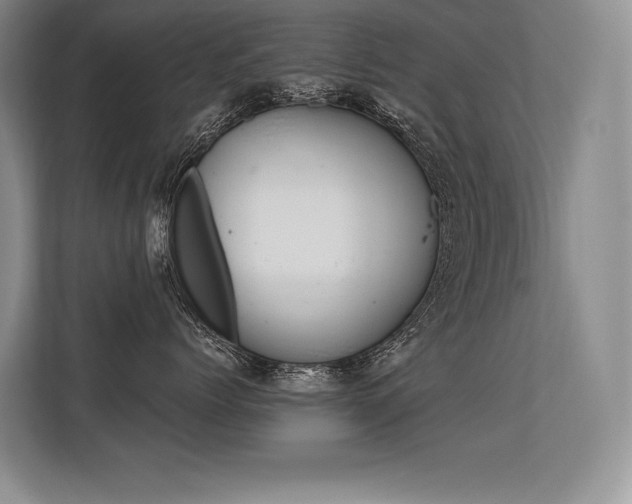 X0000113580768200909181019