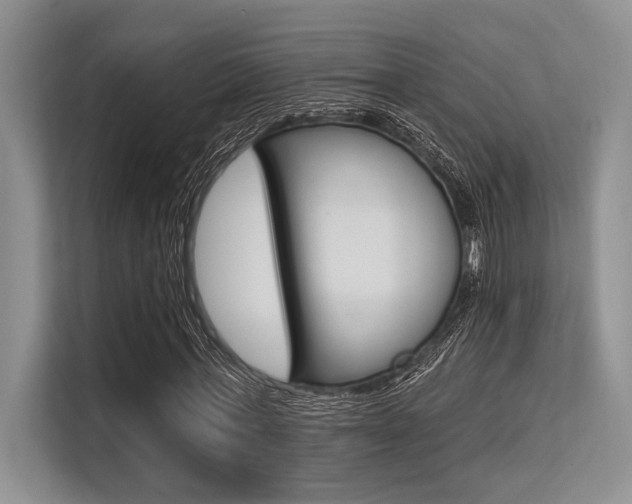 X0000113580771200909181019