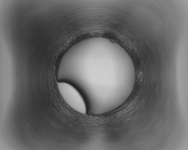 X0000113580772200909181019
