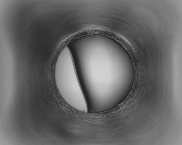 X0000113580775200909181019