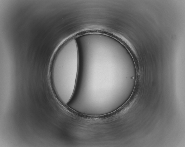 X0000113580783200909181019