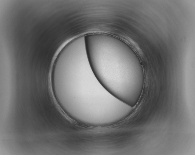 X0000113580796200909181018
