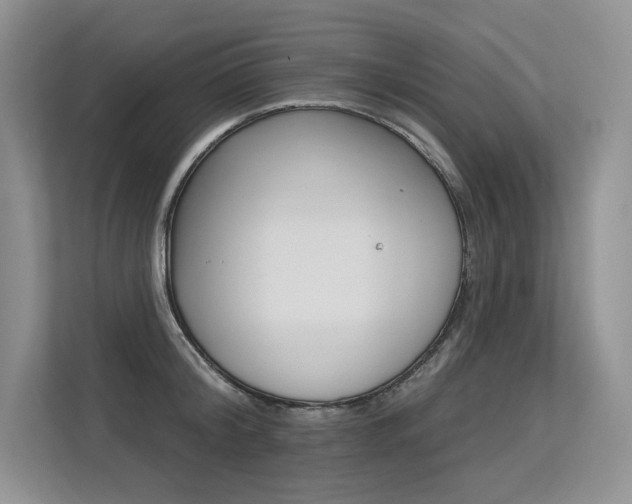X0000113580804200909181018