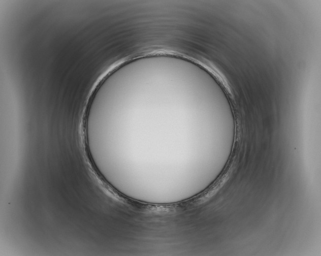 X0000113580806200909181018