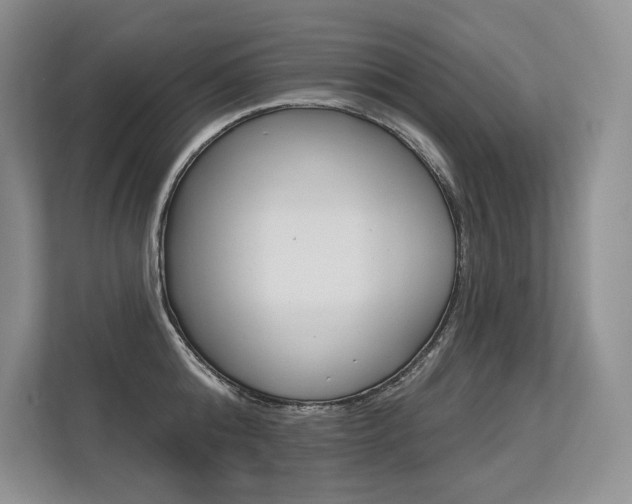 X0000113580808200909181018