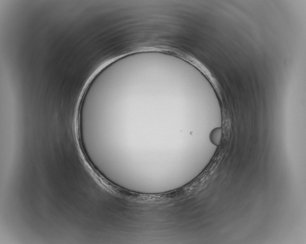 X0000113580811200909181018