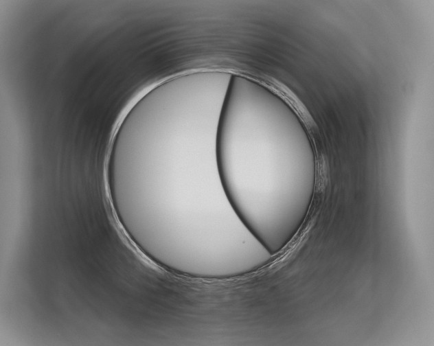 X0000113580812200909181018