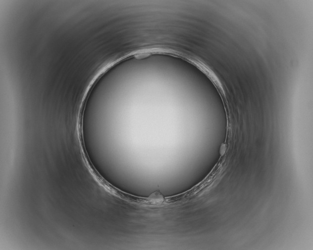 X0000113580813200909181018