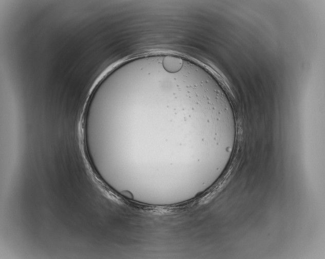 X0000113580814200909181018