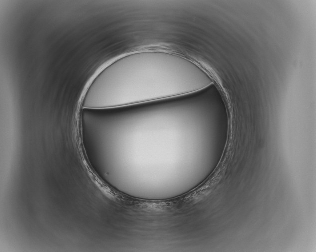 X0000113580816200909181018
