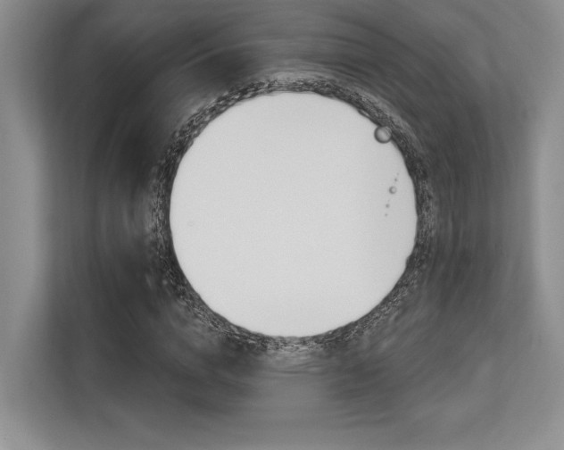X0000113580824200909181018