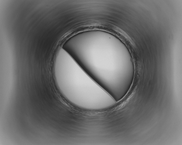 X0000113580826200909181018