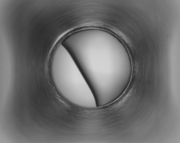 X0000113580830200909181018