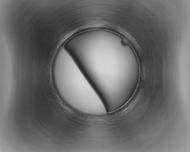 X0000113580834200909181018