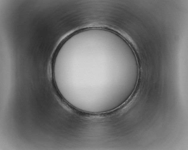 X0000113580838200909181018