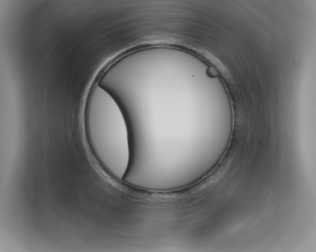 X0000113580840200909181018