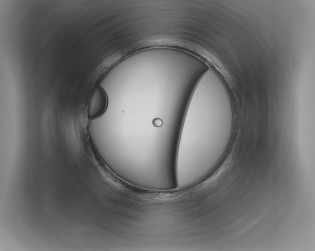X0000113580841200909181018