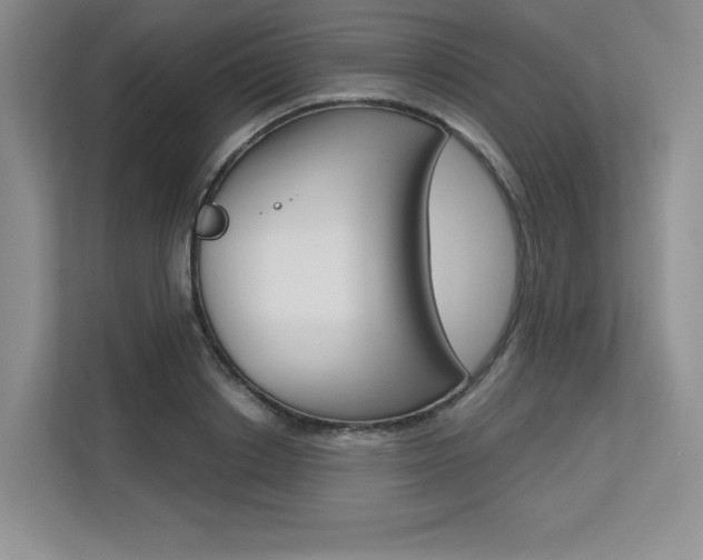 X0000113580842200909181018