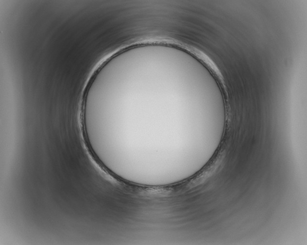 X0000113580847200909181018