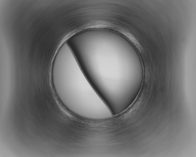 X0000113580850200909181018