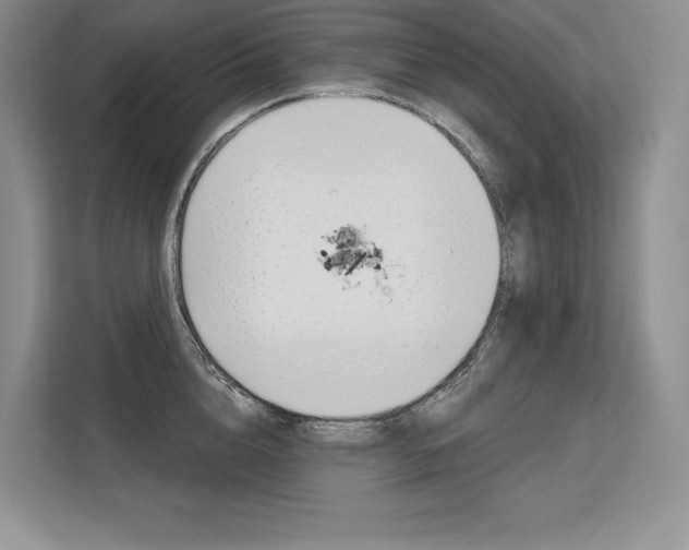 X0000113580856200909181018