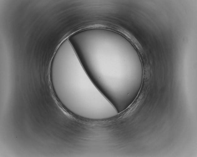 X0000113580858200909181018