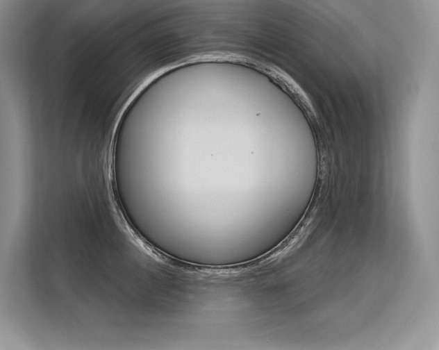 X0000113580860200909181018