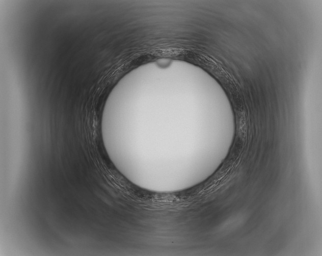 X0000113580866200909181018