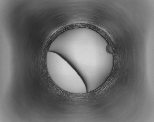 X0000113580871200909181017