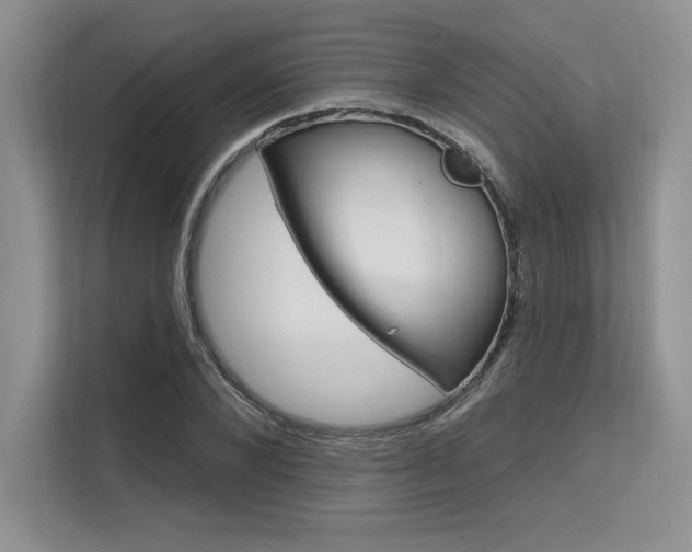X0000113580880200909181017