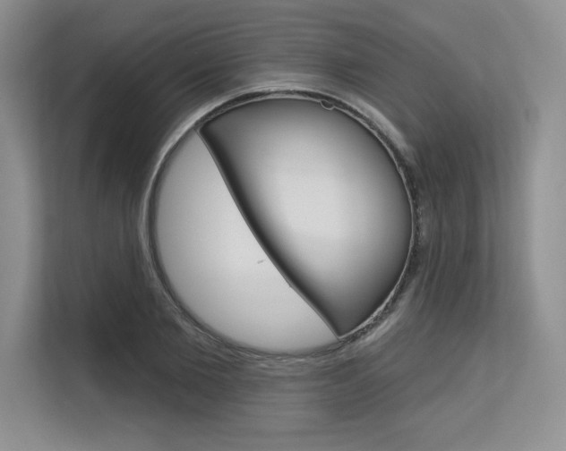 X0000113580885200909181017